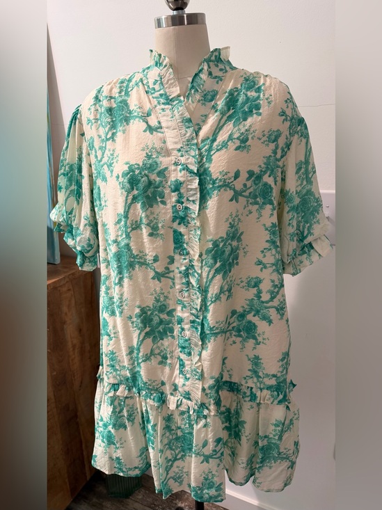 Gigio Dresses & Skirts - Gigio Women’s Cream and Green Floral Ruffle Button-Front Dress NWT